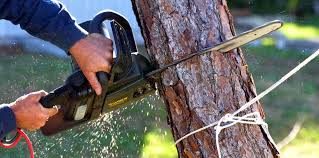 Best Soil Testing and Treatment  in Keedysville, MD