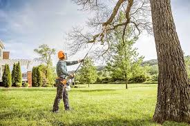 Best Landscape Design and Installation  in Keedysville, MD