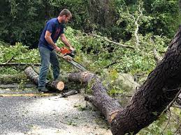 Best Tree Preservation Services  in Keedysville, MD