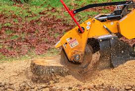 Best Grass Overseeding  in Keedysville, MD